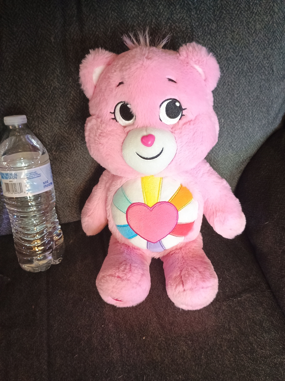 Care Bears Hopeful Heart Bear 14" Pink Plush Rainbow Heart Basic Fun
